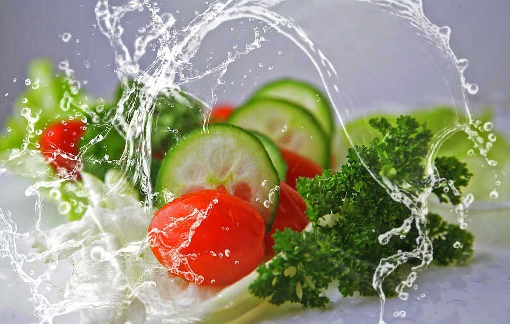 alimenti non ammissibili USA- ESTA.click